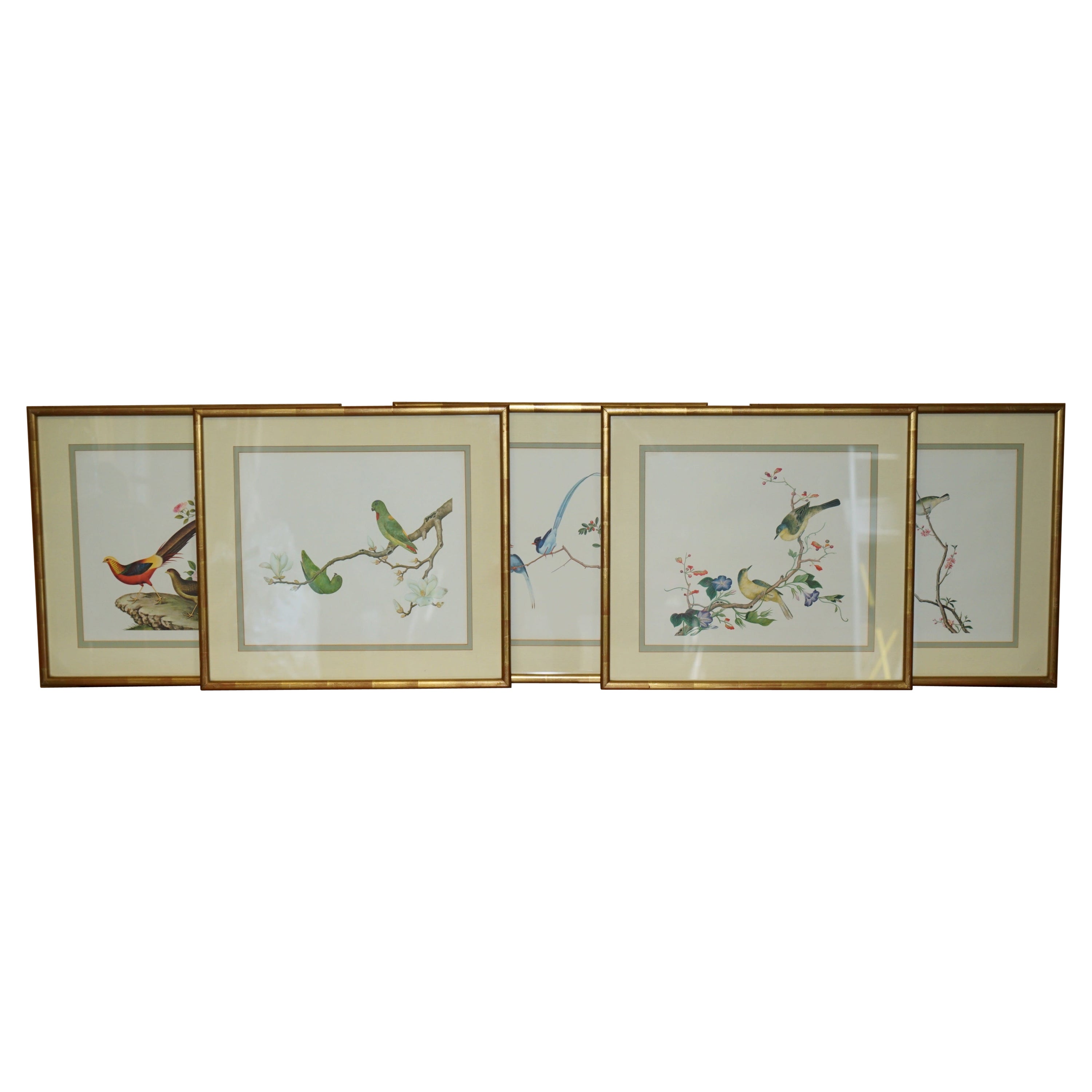 FiVE CHINESE CH'IEN LUNG PERIOD 1736-1796 WATERCOLOUR BIRD PIANTINGS FRAMED