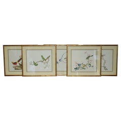 FiVE CHINESE CH'IEN LUNG PERIOD 1736-1796 WATERCOLOUR BIRD PIANTINGS FRAMED