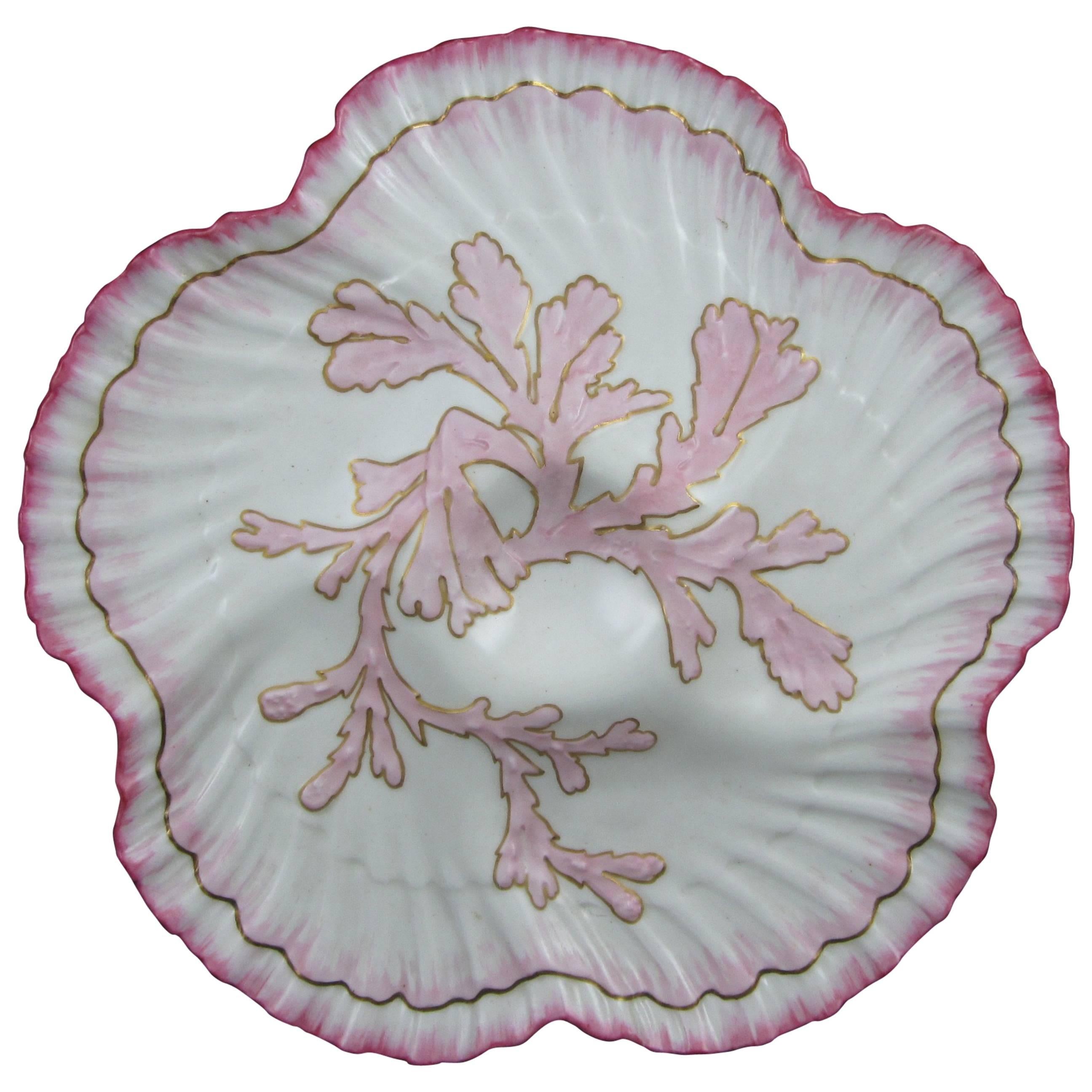  William Brownfield English Staffordshire Shell Edge & Coral Oyster Plate