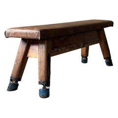 French Leather Pommel Horse Gym Bench