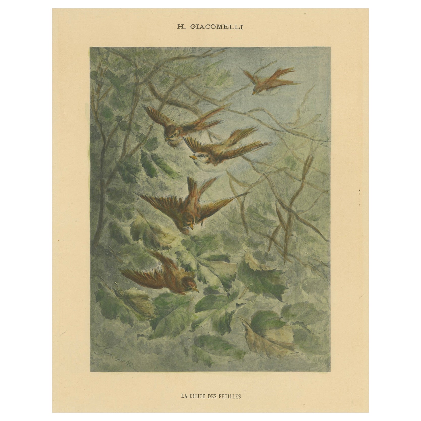 Volo d'autunno - Passeri di Giacomelli con foglie cadenti, CIRCA 1891