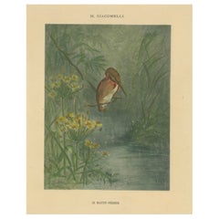 Antique Kingfisher by the Water's Edge - Giacomelli’s Tranquil Nature Scene, Circa 1891
