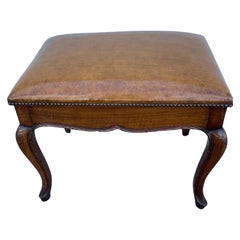 Vintage Metamorphic Library Bench / Steps