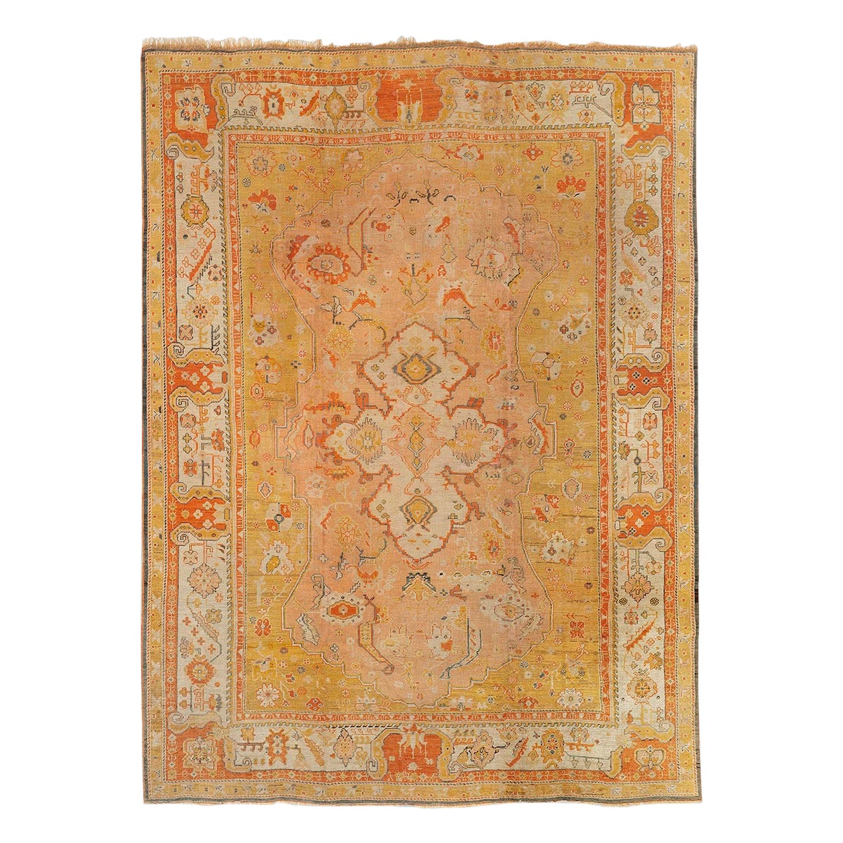 Shell More Carpets