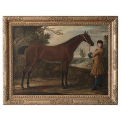 'Scampo', il cavallo da corsa del Duca di Devonshire, 18° secolo