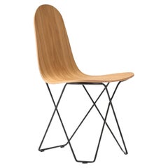Cactus Natural Oak Dining Chair by Cuero Design