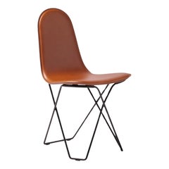 Cactus Leather Dining Chair by Cuero Design