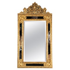 French 19th Century Louis XVI Mirror