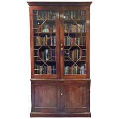 Antique Bookcase Victorian Mahogany Display Cabinet Two-Door 19th Century