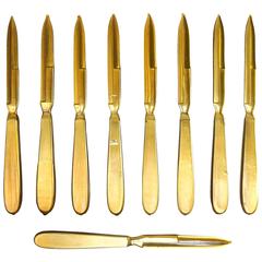Nine Russian Catlin Amputation Knives in a Sterile Silicone Sleeve