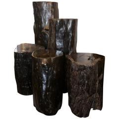 Trunks in Massive Ebony from Makassar South Sulawesia Indonesia