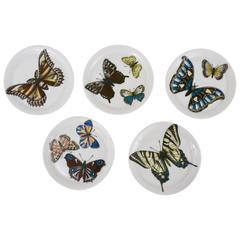 Five Piero Fornasetti Farfalle Butterlfy Coasters, Small Plates, 1950s, Italy
