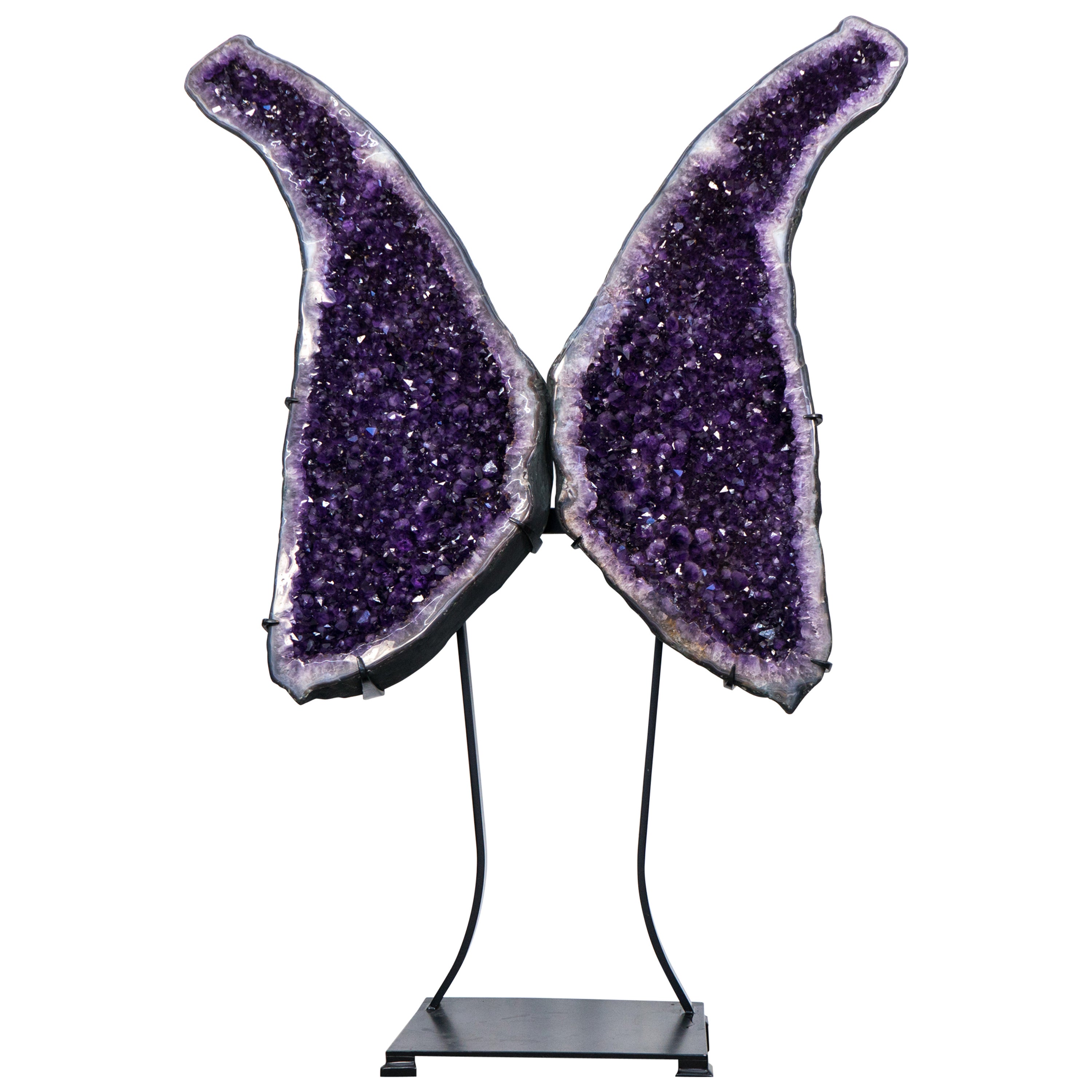 Espléndida Sculptura Alas de Geoda de Amatista X-Grande con Amatista Morada - Especial