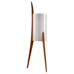 Schwedische Stehlampe aus Acryl und Buche aus der Mitte des Jahrhunderts von Luxus, 1960er Jahre