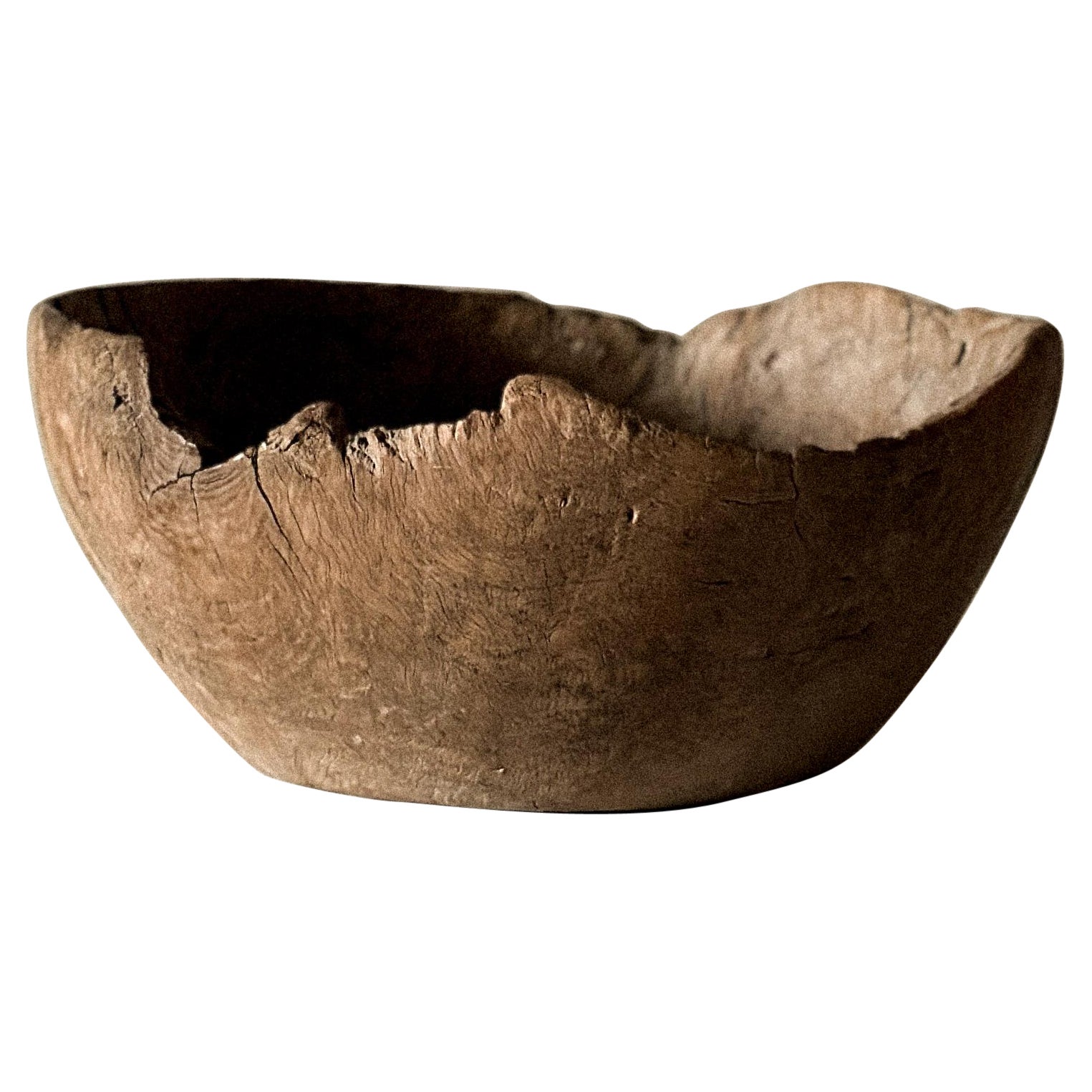 Antique Root Bowl, Wabi Sabi Style, Scandinavia 1800s