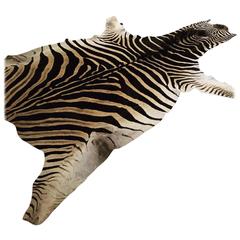 Zebra Hide Rug 