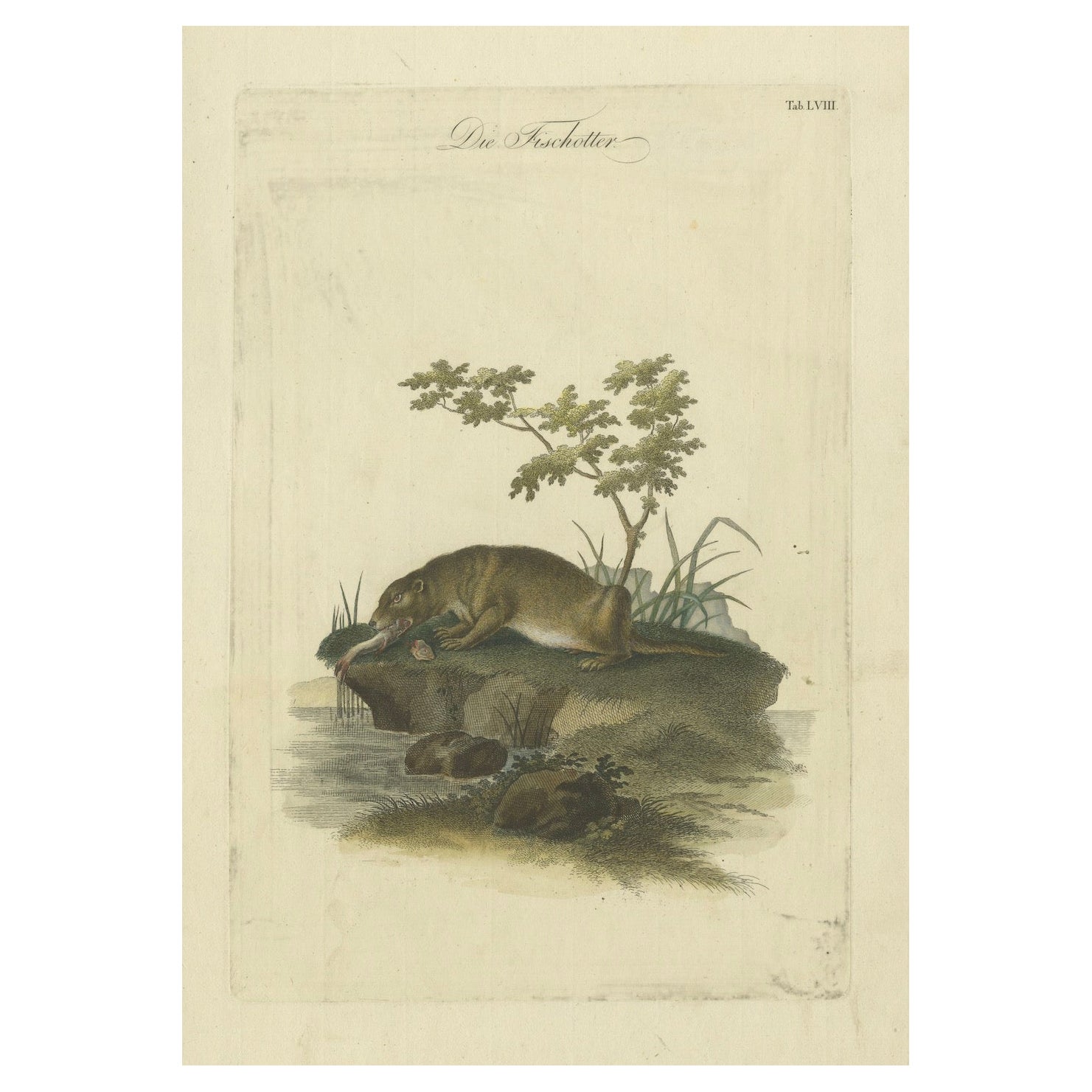 La cattura della lontra: Un'incisione capolavoro di Johannes Meyer, 1750 ca.