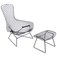 Vintage Bird Chair by Hary Bertoia for Knoll