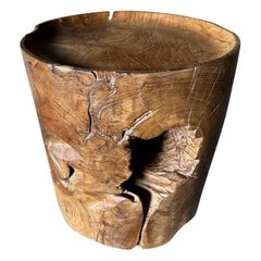 Andrianna Shamaris Large Sculptural Teak Wood Tray Side Table