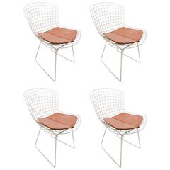 Four Bertoia Chairs with Brown Leather Knoll Cushions, USA, 1960s