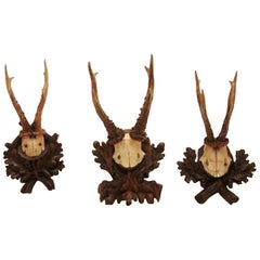 Antique Collection of Nine Black Forest Antler Mounts on Hand-Carved Wood Plaques Priced