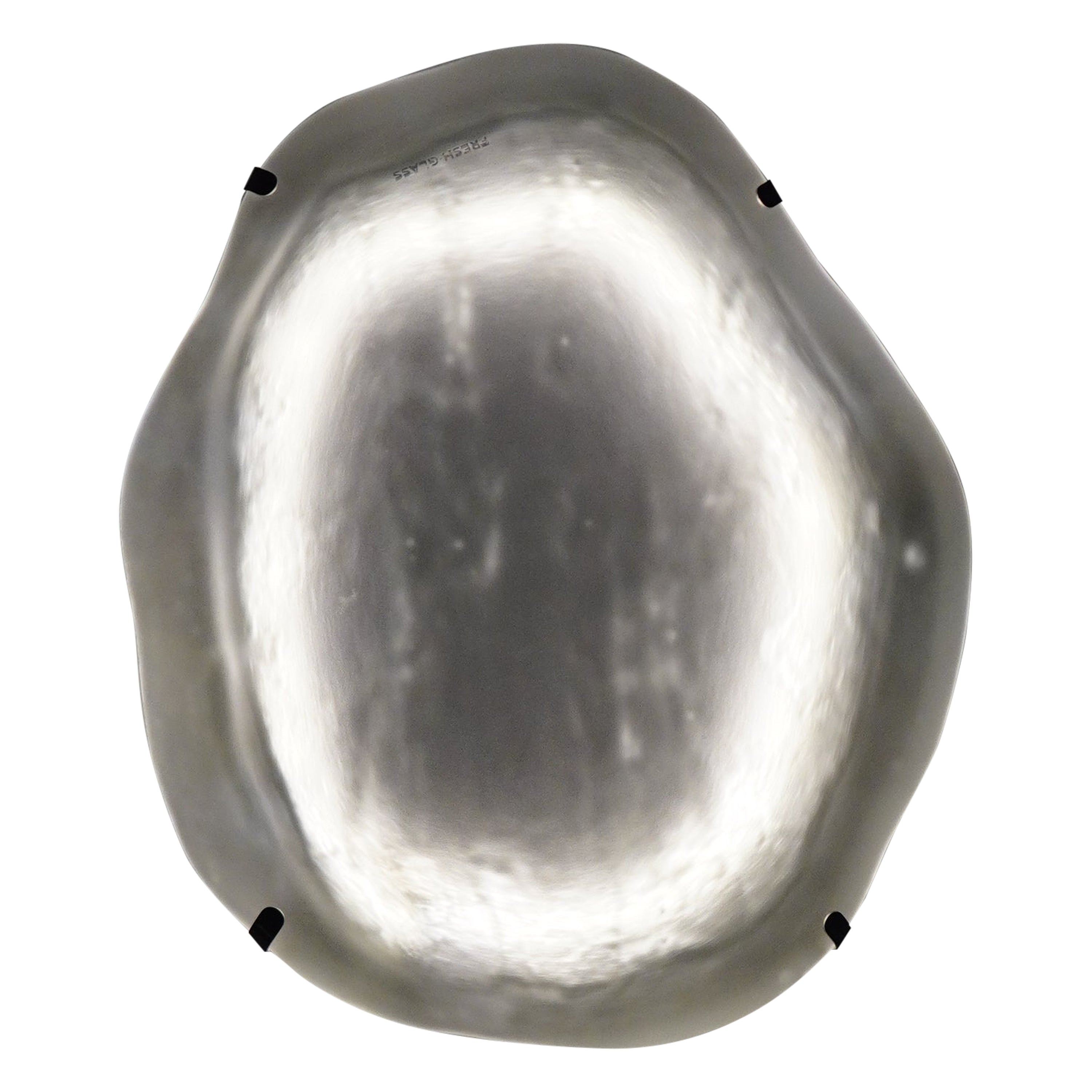 Jellyfish Baby Wall Lamp  by Fresh Glass