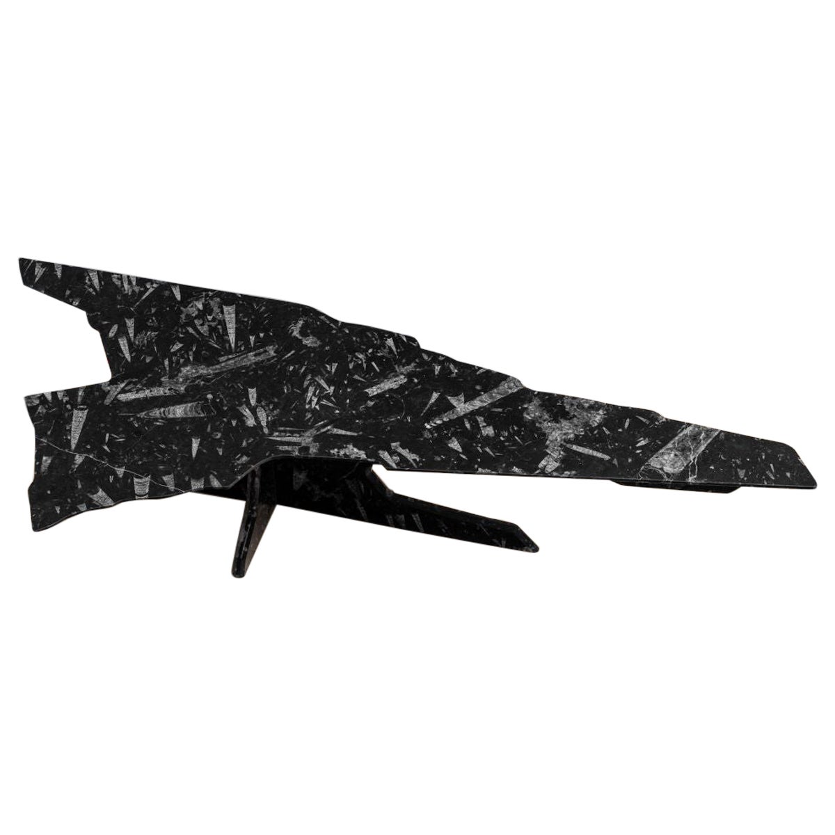 Alien Debris Black marble Fossil coffee table