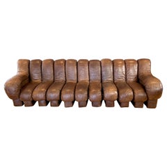 Vintage De Sede DS-600 Schlangensofa mit elf Elementen aus braunem Leder, 1970er Jahre