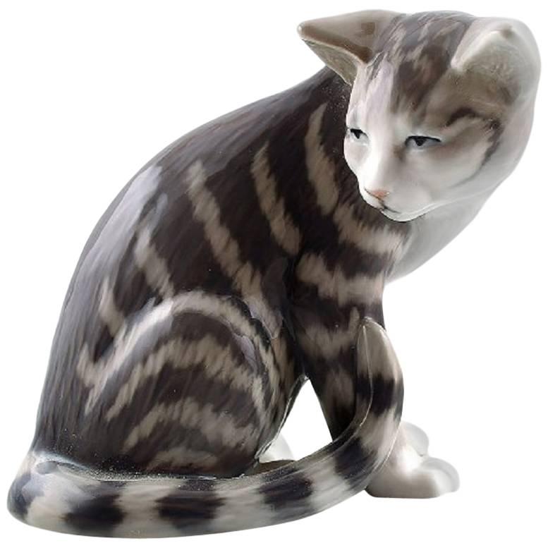 Seltene Royal Copenhagen Porzellanfigur Nummer 301:: sitzende gestreifte Tabby-Katze