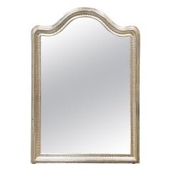 19th Century French Louis Philippe Silver Gilt Mirror