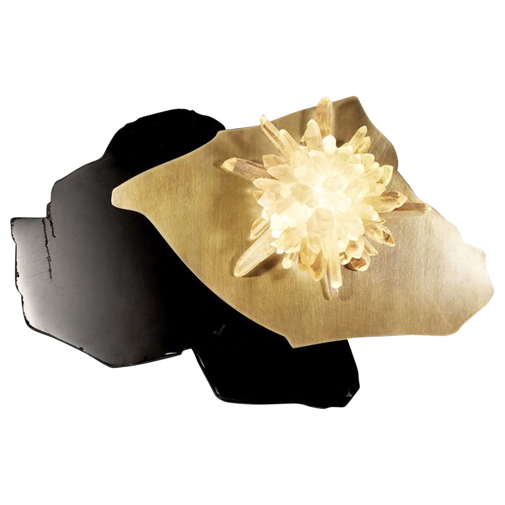 Organic Form Sugar Bomb Mono Sconce in Obsidian and Brass by Christopher Boots