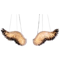Unique Set of Wings Crystal and Brass Pendant Lights by Christopher Boots