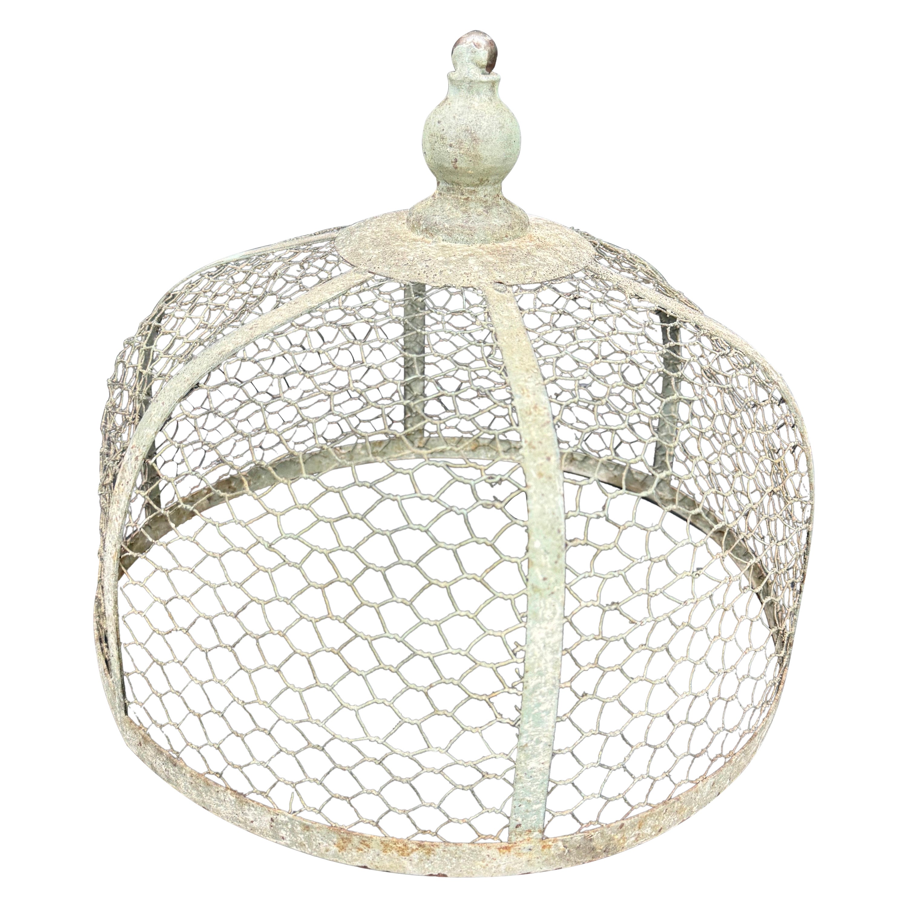 Vintage French Wood and Metal Cloche or Dome, circa 1920's For Sale