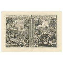 Colonial Curiosities: Fauna of the West Indies, by R. de Hooghe, circa 1708