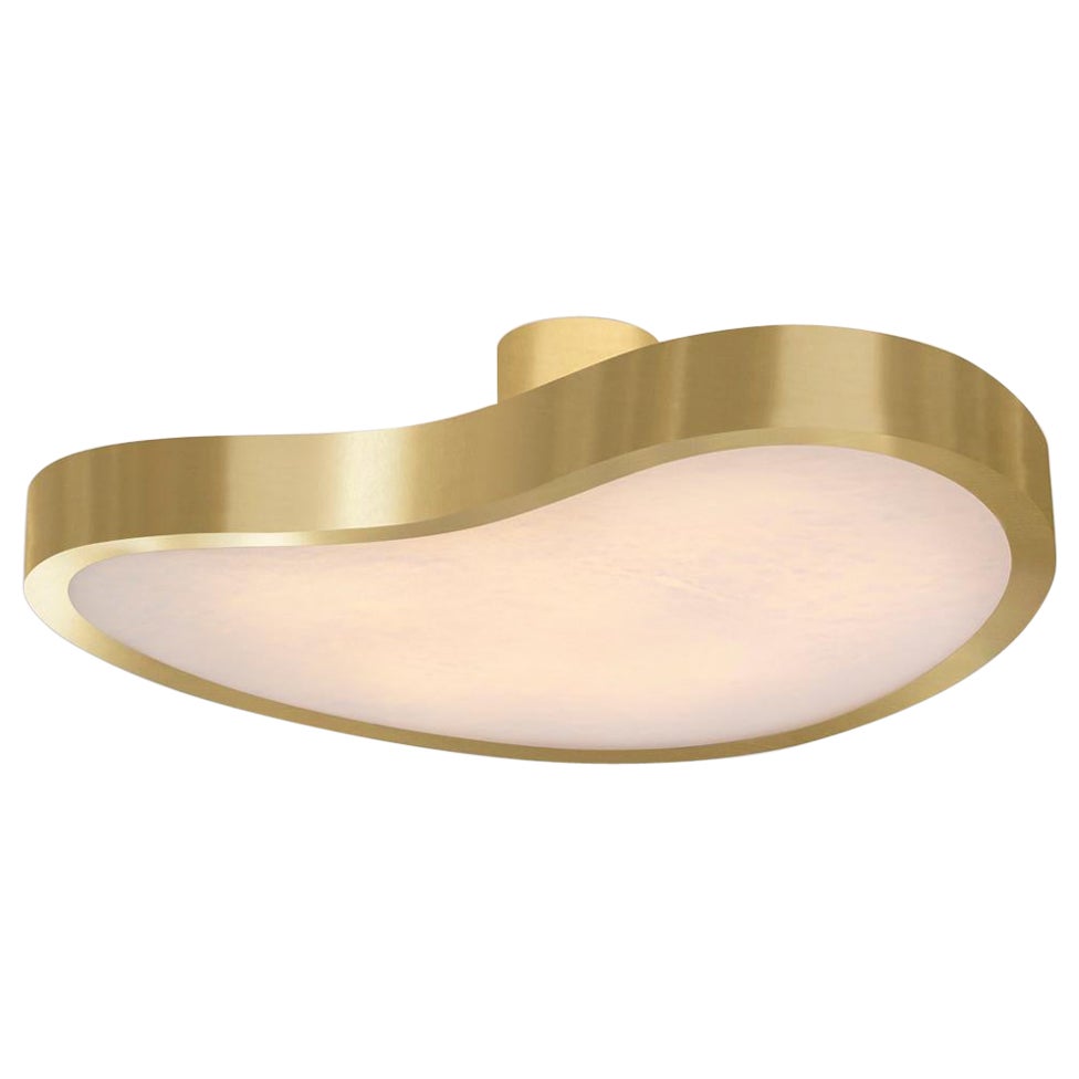 Cuore Grande Ceiling Light by Gaspare Asaro-Satin Brass Finish For Sale