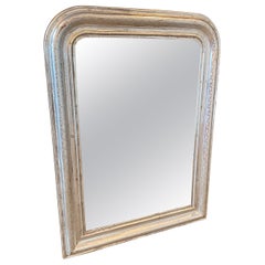 French Antique Monumental 19th Century Silver Gilt Louis Philippe Wall Mirror