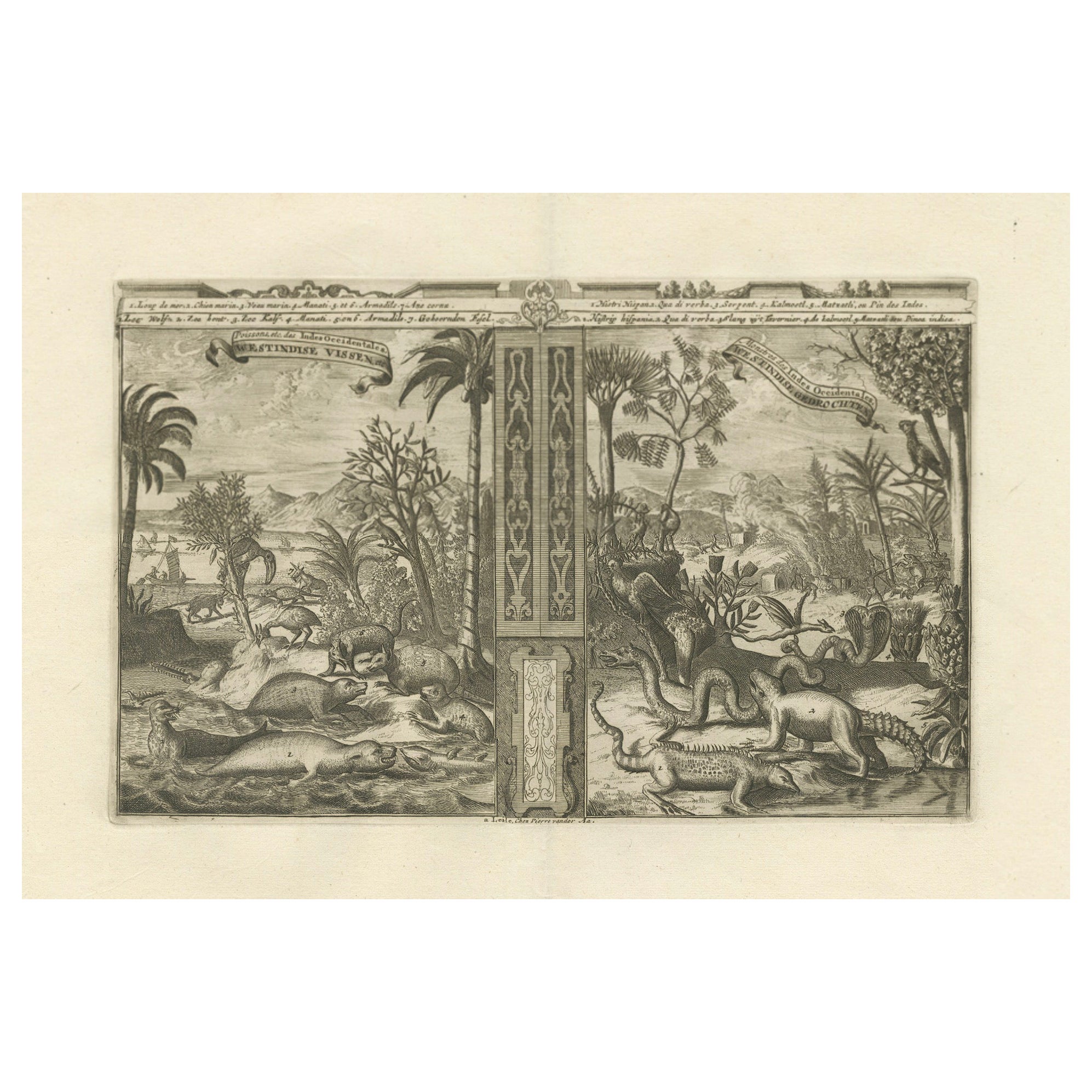 Tropisches Paradies: The Diverse Fauna of the Indies von R. De Hooghe, um 1708