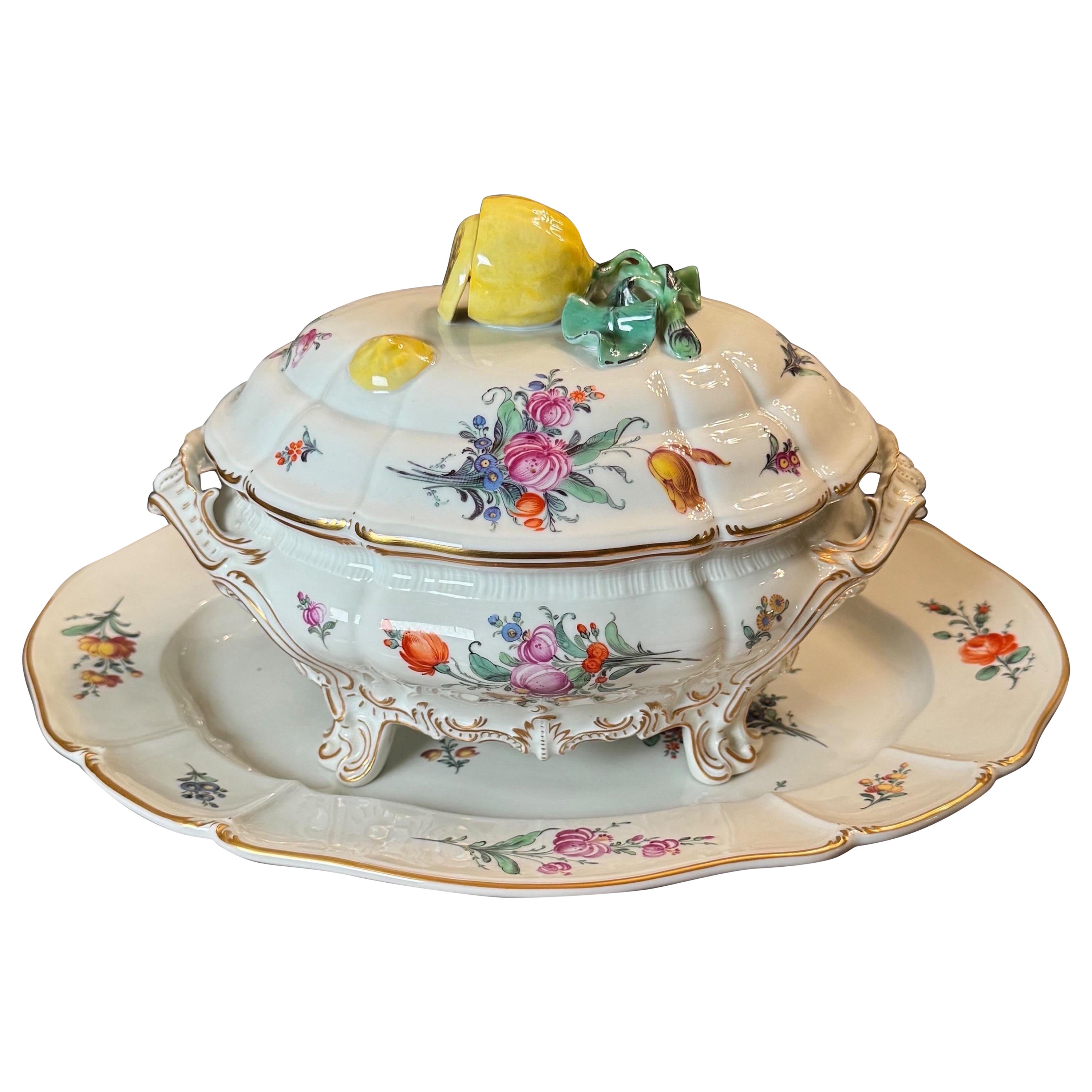 Sopera y fuente con tapa, Nymphenburg, Múnich Alemán en venta