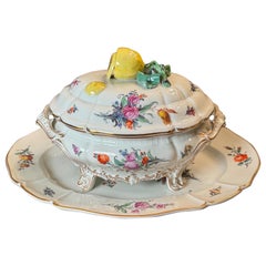 Sopera y fuente con tapa, Nymphenburg, Múnich Alemán