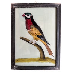 Antique "19th-Century Parrot Portrait: Vibrant Exotic Bird Art"