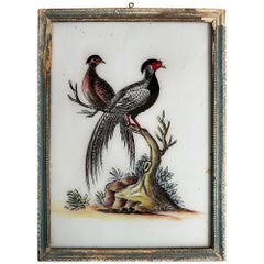 "Fasanenpaar aus dem 19. Jahrhundert: Elegantes ornithologisches Kunstwerk"