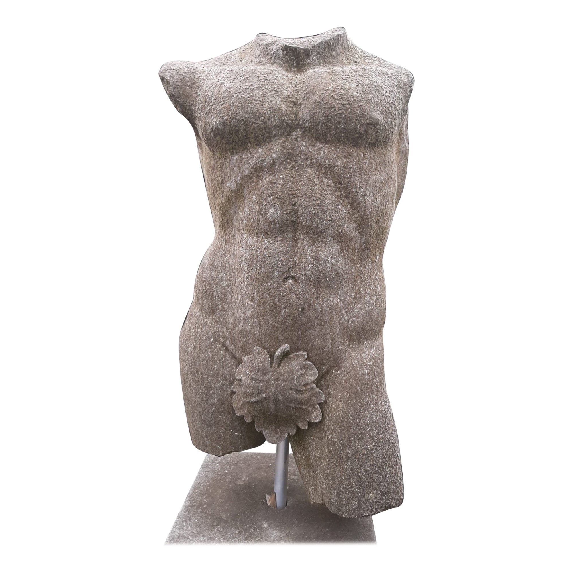 Apolo Escultura italiana de piedra de torso clásico con base