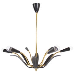 Italian Stilnovo Mid Century Modern Chandelier, black and golden brass, 1950's