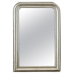French 19th Century Louis Philippe Silver Gilt Mirror