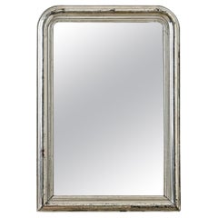 French 19th Century Louis Philippe Silver Gilt Mirror