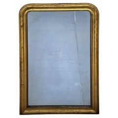 Large 19th Century Louis Philippe Wall Mirror