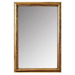 French 19th Century Gold Gilt Mirror