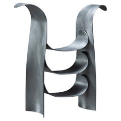 "Waves In Object” Shelf