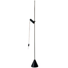 Adjustable Spot Floor Lamp, Attributed to Gino Sarfatti, 1960s, Italy