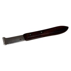 1970er Jahre Küche Dekorationswerkzeug Zitronengras Zester Victorinox Schweiz